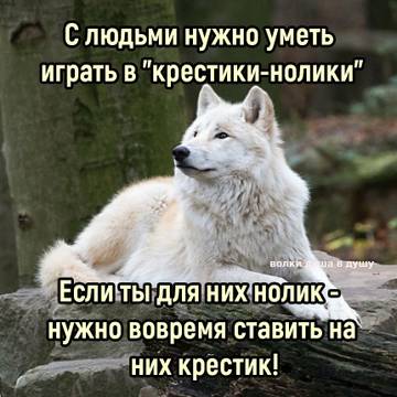 http://upforme.ru/uploads/0004/27/45/2122/t382281.jpg