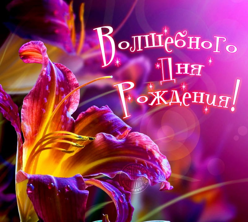 http://upforme.ru/uploads/0004/27/45/339/766175.jpg