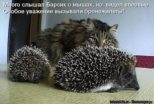 http://upforme.ru/uploads/0004/2d/ca/3168-4-f.jpg
