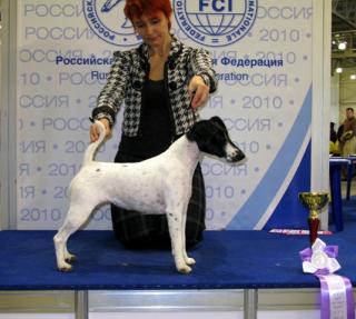 http://upforme.ru/uploads/0004/35/bf/10332-2.jpg