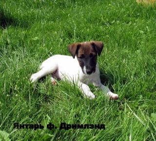http://upforme.ru/uploads/0004/35/bf/12125-3.jpg