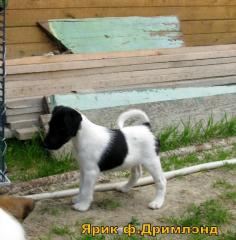 http://upforme.ru/uploads/0004/35/bf/12126-5.jpg