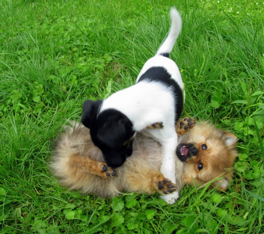 http://upforme.ru/uploads/0004/35/bf/12128-3-f.jpg