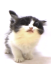 http://upforme.ru/uploads/0004/47/89/200-2.gif