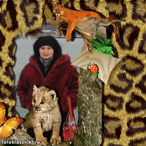 http://upforme.ru/uploads/0004/48/df/12336-3-f.jpg