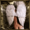 http://upforme.ru/uploads/0004/6e/3c/662-2.gif