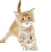 http://upforme.ru/uploads/0004/6e/3c/716-4.png