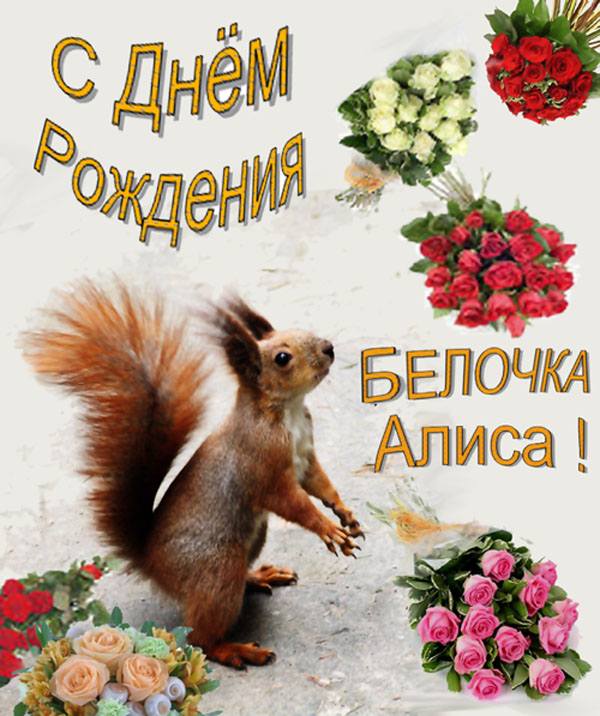 http://upforme.ru/uploads/0004/73/53/10646-2-f.jpg