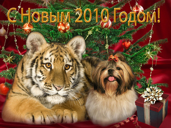 http://upforme.ru/uploads/0004/73/53/11066-2-f.jpg