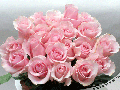 http://upforme.ru/uploads/0004/73/53/11066-4-f.gif