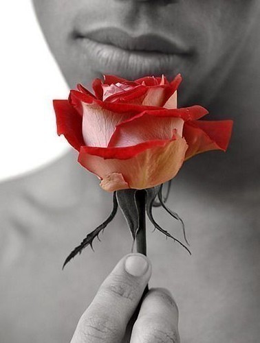 http://upforme.ru/uploads/0004/73/53/12371-2-f.jpg