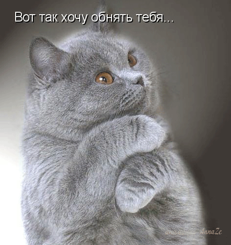 http://upforme.ru/uploads/0004/73/53/12390-5-f.gif