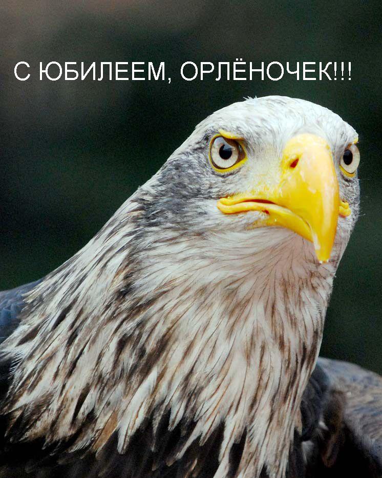 http://upforme.ru/uploads/0004/73/53/12649-2-f.jpg