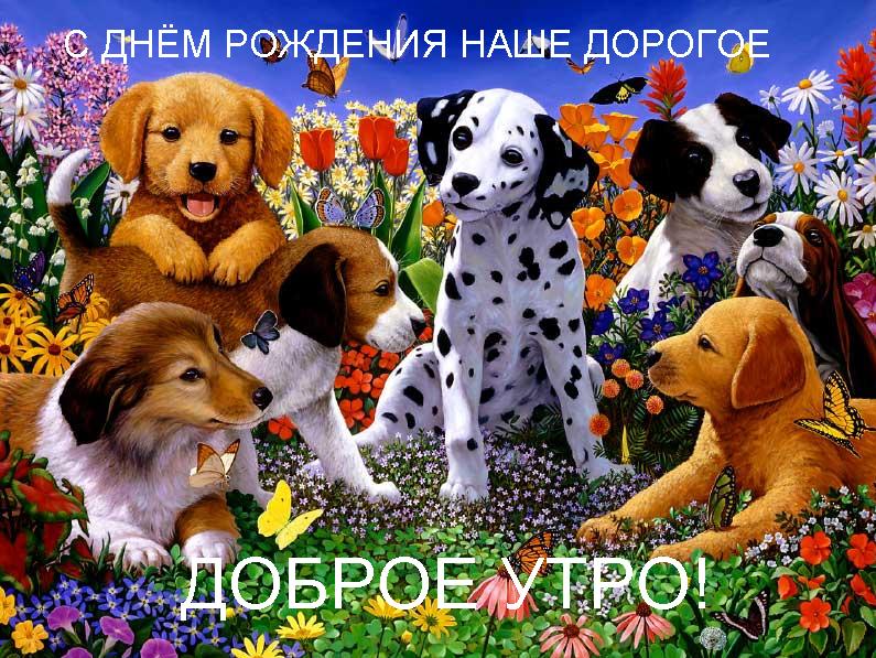 http://upforme.ru/uploads/0004/73/53/12724-2-f.jpg