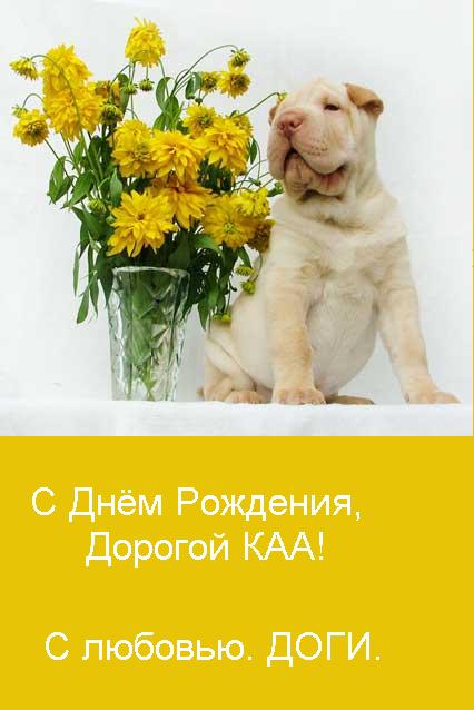http://upforme.ru/uploads/0004/73/53/13459-2-f.jpg