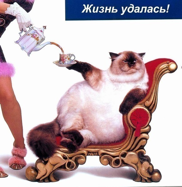 http://upforme.ru/uploads/0004/73/53/13889-3-f.jpg