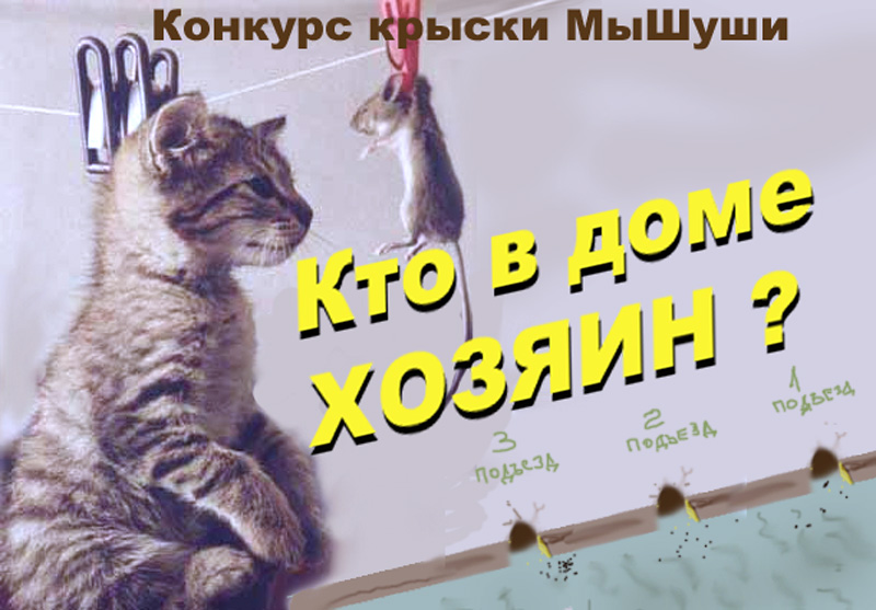 http://upforme.ru/uploads/0004/73/53/14408-2-f.jpg