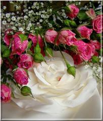 http://upforme.ru/uploads/0004/73/53/15726-1.jpg