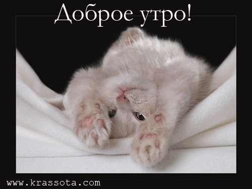 http://upforme.ru/uploads/0004/73/53/16361-1-f.gif