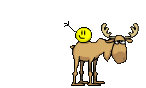 http://upforme.ru/uploads/0004/7e/8a/241/386836.gif