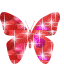 http://upforme.ru/uploads/0004/82/d6/23165-1.gif