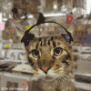 http://upforme.ru/uploads/0004/b7/45/4510-3.gif