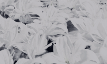 http://upforme.ru/uploads/0004/e7/0d/3303/t322197.gif