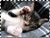 http://upforme.ru/uploads/0004/f0/b4/14765-4.jpg