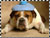 http://upforme.ru/uploads/0004/f0/b4/15012-2.jpg