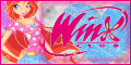  Winx 