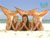 http://upforme.ru/uploads/0004/f0/b4/7664-3.jpg