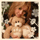 http://upforme.ru/uploads/0004/f0/b4/8053-3.gif
