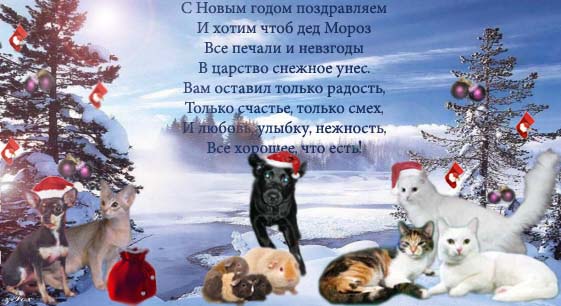 http://upforme.ru/uploads/0005/03/4a/19695-1-f.jpg