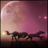 http://upforme.ru/uploads/0005/52/95/596-1.gif