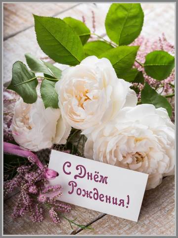 http://upforme.ru/uploads/0005/59/73/2/t748386.jpg