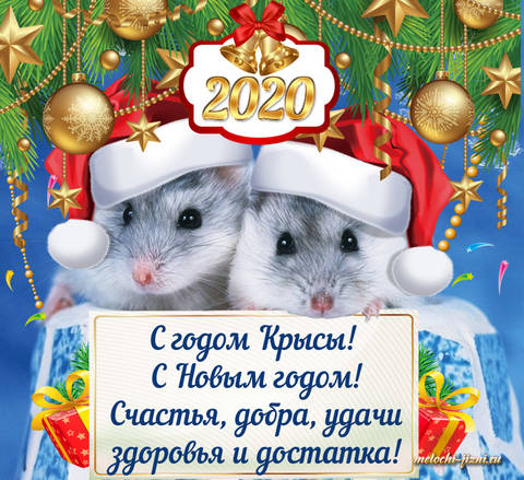 http://upforme.ru/uploads/0005/59/73/8/t37395.jpg
