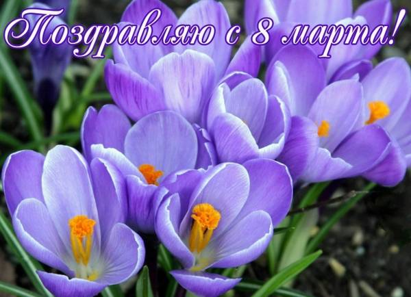 http://upforme.ru/uploads/0005/59/73/8/t44551.jpg