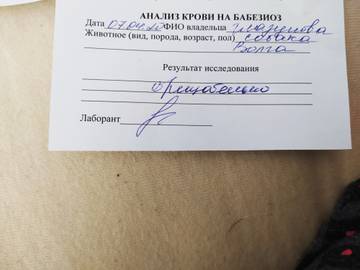 http://upforme.ru/uploads/0005/77/cb/2856/t239364.jpg