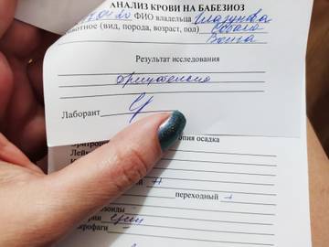 http://upforme.ru/uploads/0005/77/cb/2856/t648933.jpg