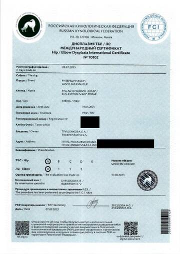 http://upforme.ru/uploads/0005/77/cb/33/t543738.jpg