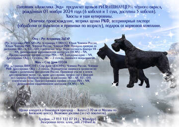http://upforme.ru/uploads/0005/77/cb/33/t602653.jpg