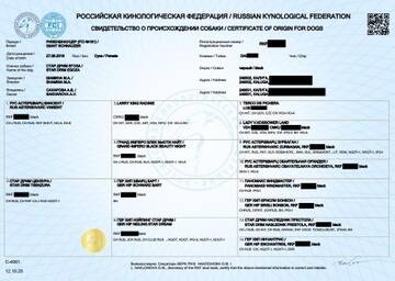 http://upforme.ru/uploads/0005/77/cb/33/t992768.jpg