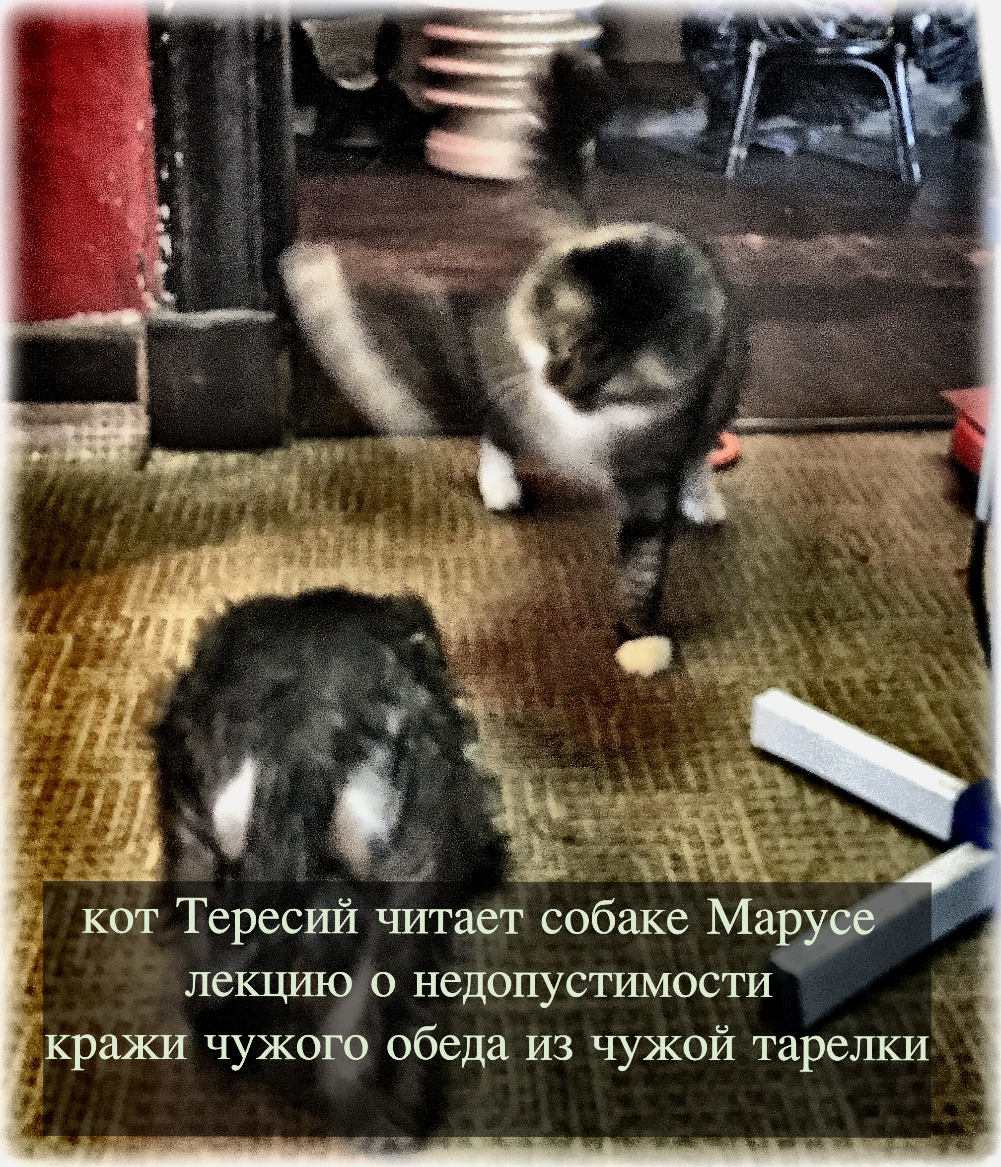 http://upforme.ru/uploads/0005/77/cb/5/117418.jpg