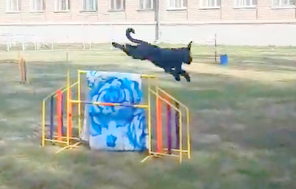 http://upforme.ru/uploads/0005/77/cb/5/601434.jpg