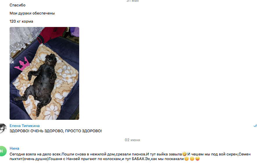 http://upforme.ru/uploads/0005/77/cb/5/937059.jpg