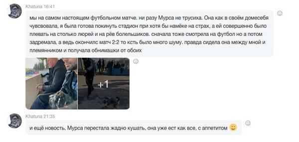 http://upforme.ru/uploads/0005/77/cb/5/t302889.jpg