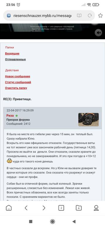 http://upforme.ru/uploads/0005/77/cb/54/t458224.jpg