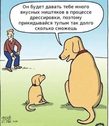 http://upforme.ru/uploads/0005/77/cb/600/t568180.jpg