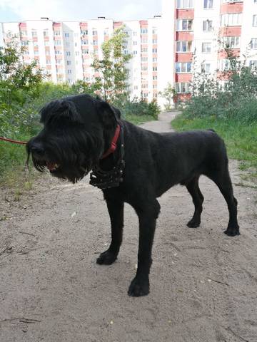 http://upforme.ru/uploads/0005/77/cb/632/t334534.jpg