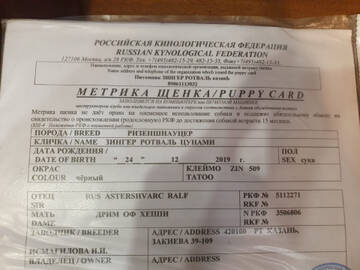 http://upforme.ru/uploads/0005/77/cb/632/t70910.jpg